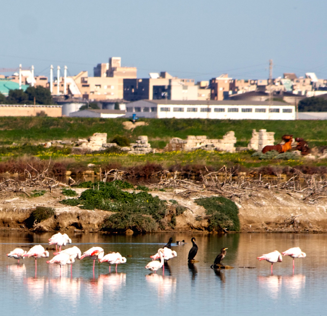 IMG_5806 - Versione 2