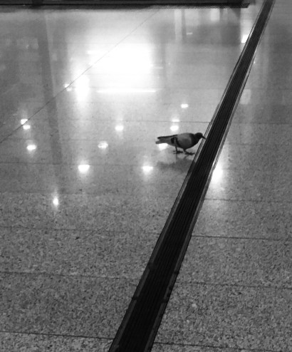 9B9760A3-0E5A-4CC2-B433-F53813A03BE9